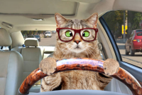 Drivere