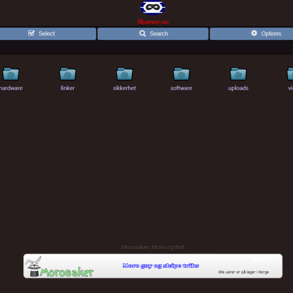 Filserver